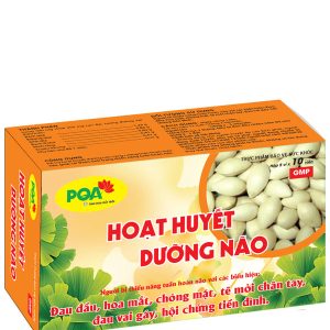 hoạt huyết dưỡng não pqa